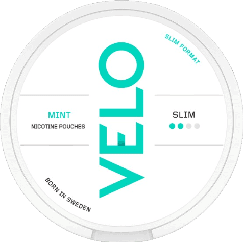 VELO Witty Spearmint